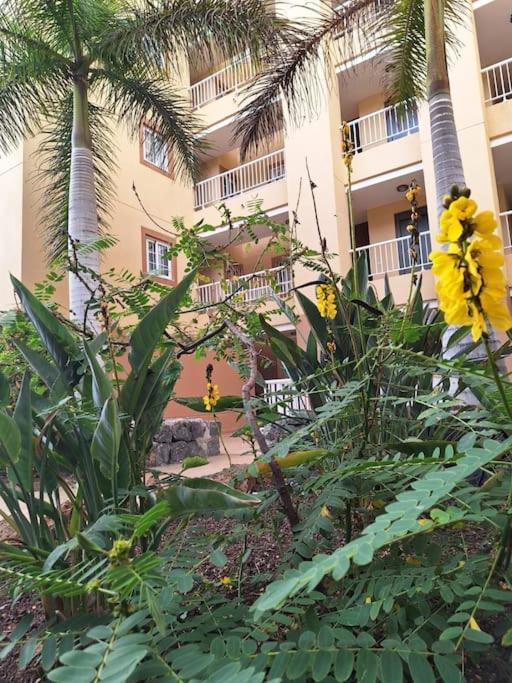 פאלם-מאר Tropical Apartment - Heated Pool מראה חיצוני תמונה